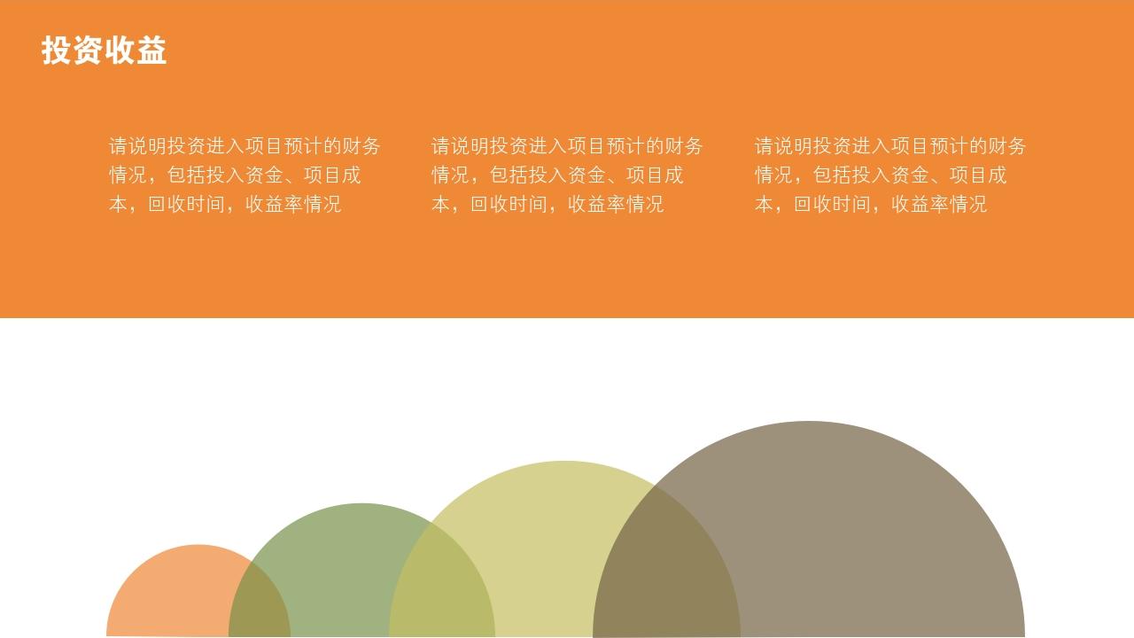 多彩缤纷项目可行性研究PPT模版-投资收益