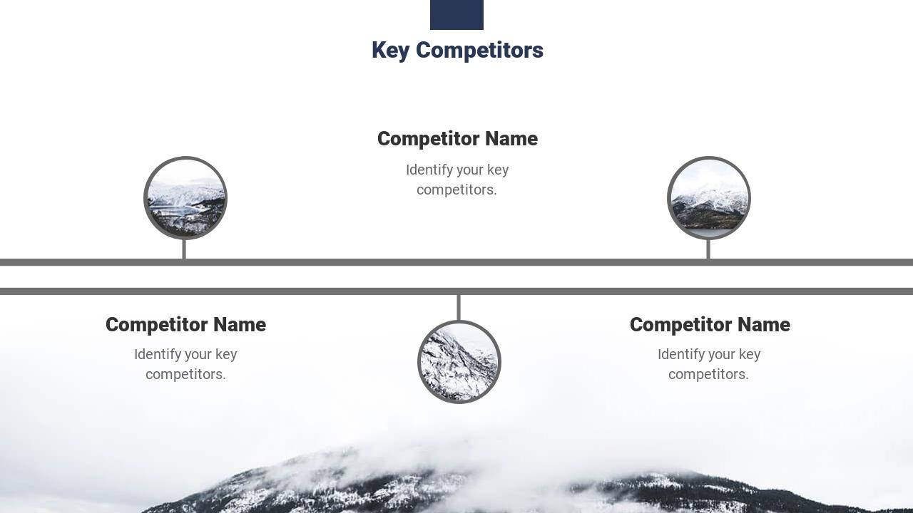 跨境电商出海项目结构完整商业计划书模板-Key Competitors