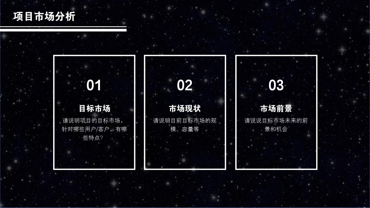 黑白星空项目可行性研究PPT模版-项目市场分析