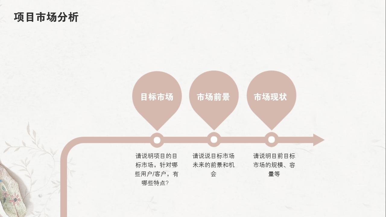 淡红树叶项目可行性研究PPT模版-项目市场分析